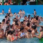 tn_IMG-20181117-WA0174
