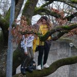 IMG-20190117-WA0020